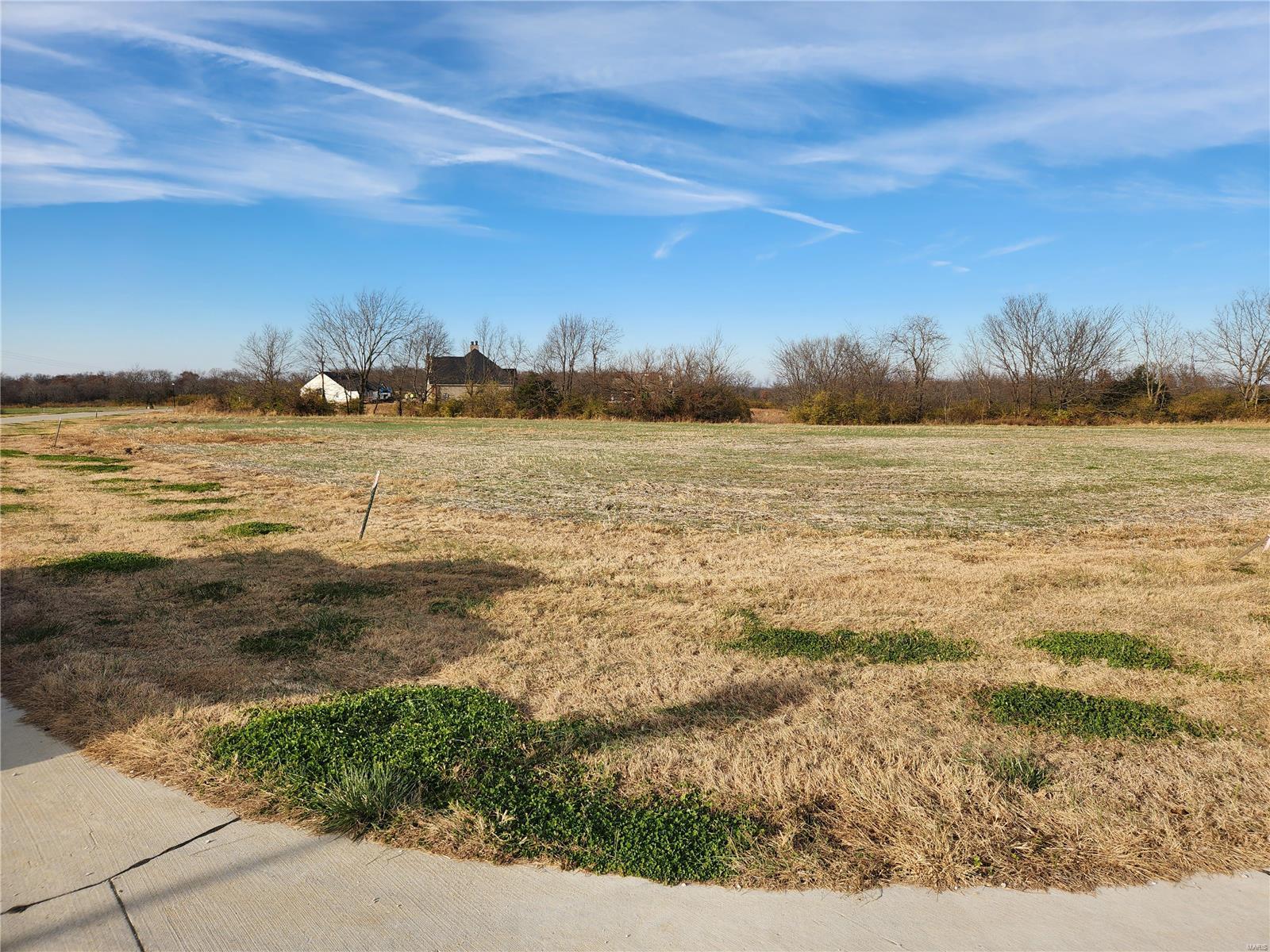 200 Bluegrass Pasture Court Property Photo 6