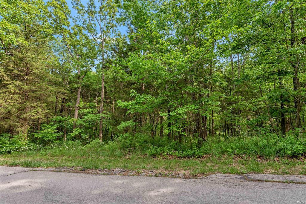 9630 Duffer Drive Property Photo