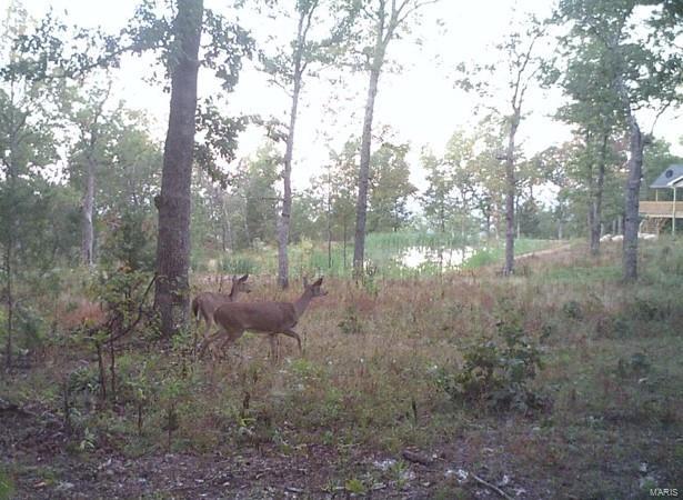 4243 Highway Oo Property Photo 49