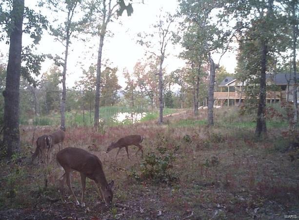 4243 Highway Oo Property Photo 50