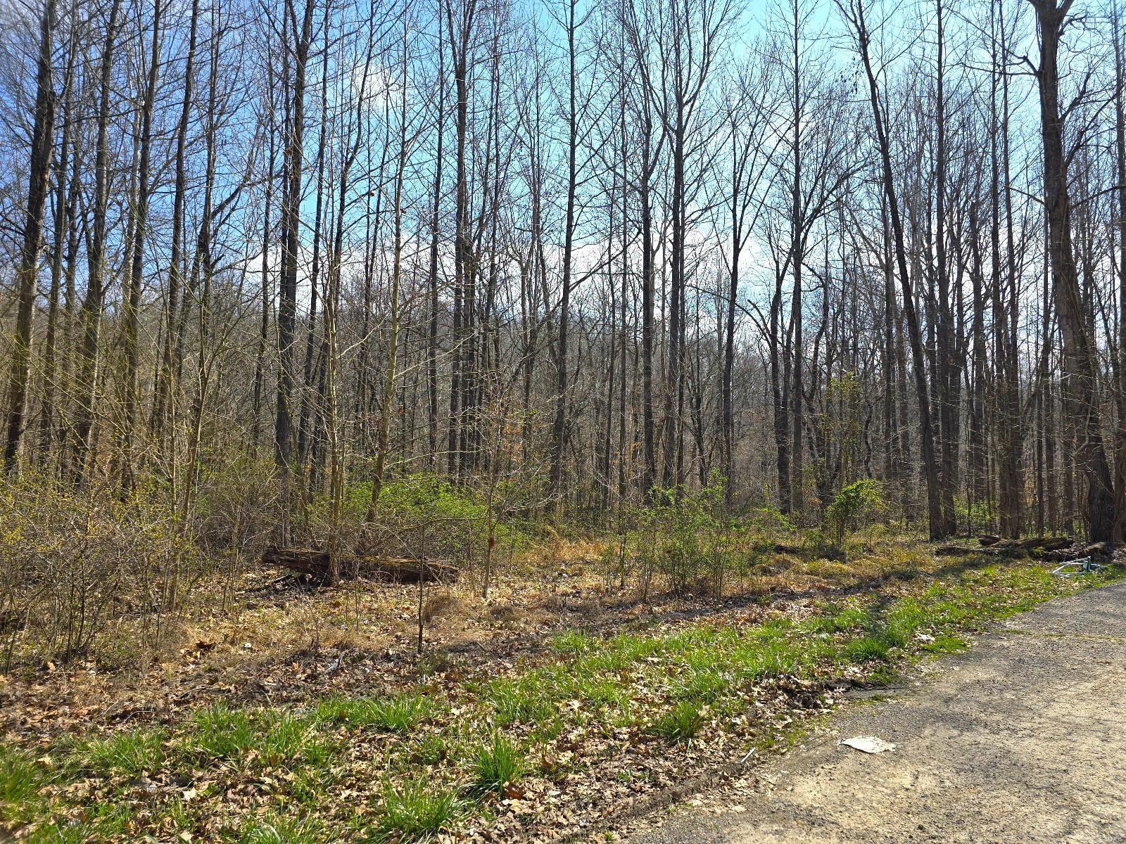 20286 Sherwood Forest Drive Property Photo 2