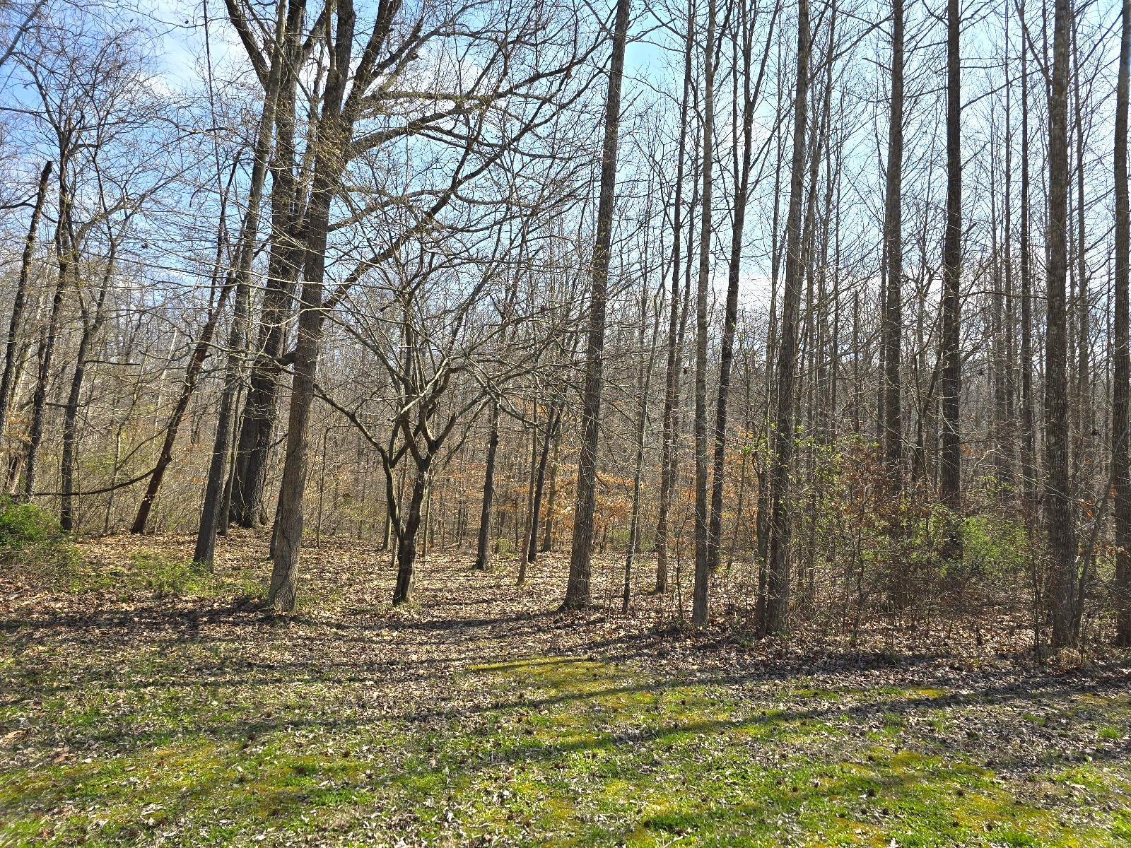 20286 Sherwood Forest Drive Property Photo 3