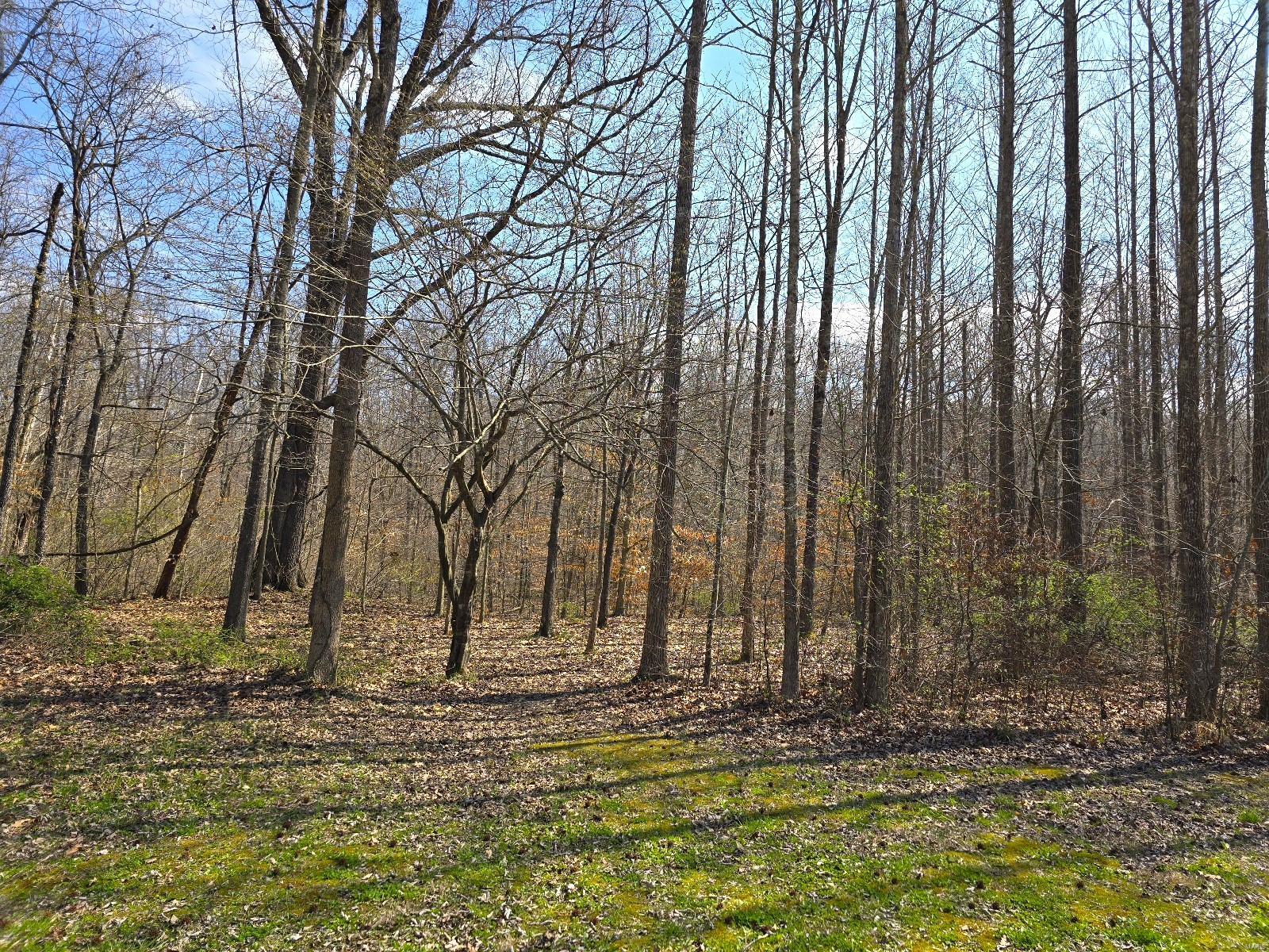 20286 Sherwood Forest Drive Property Photo 4