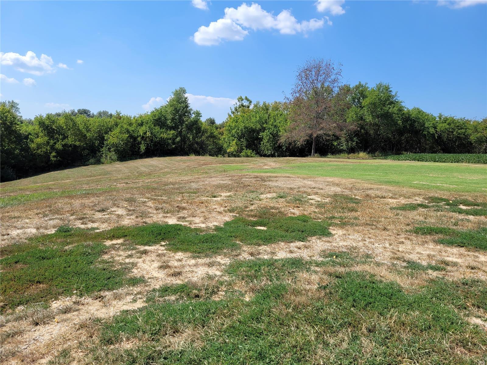 10359 Bounds Road Property Photo 54