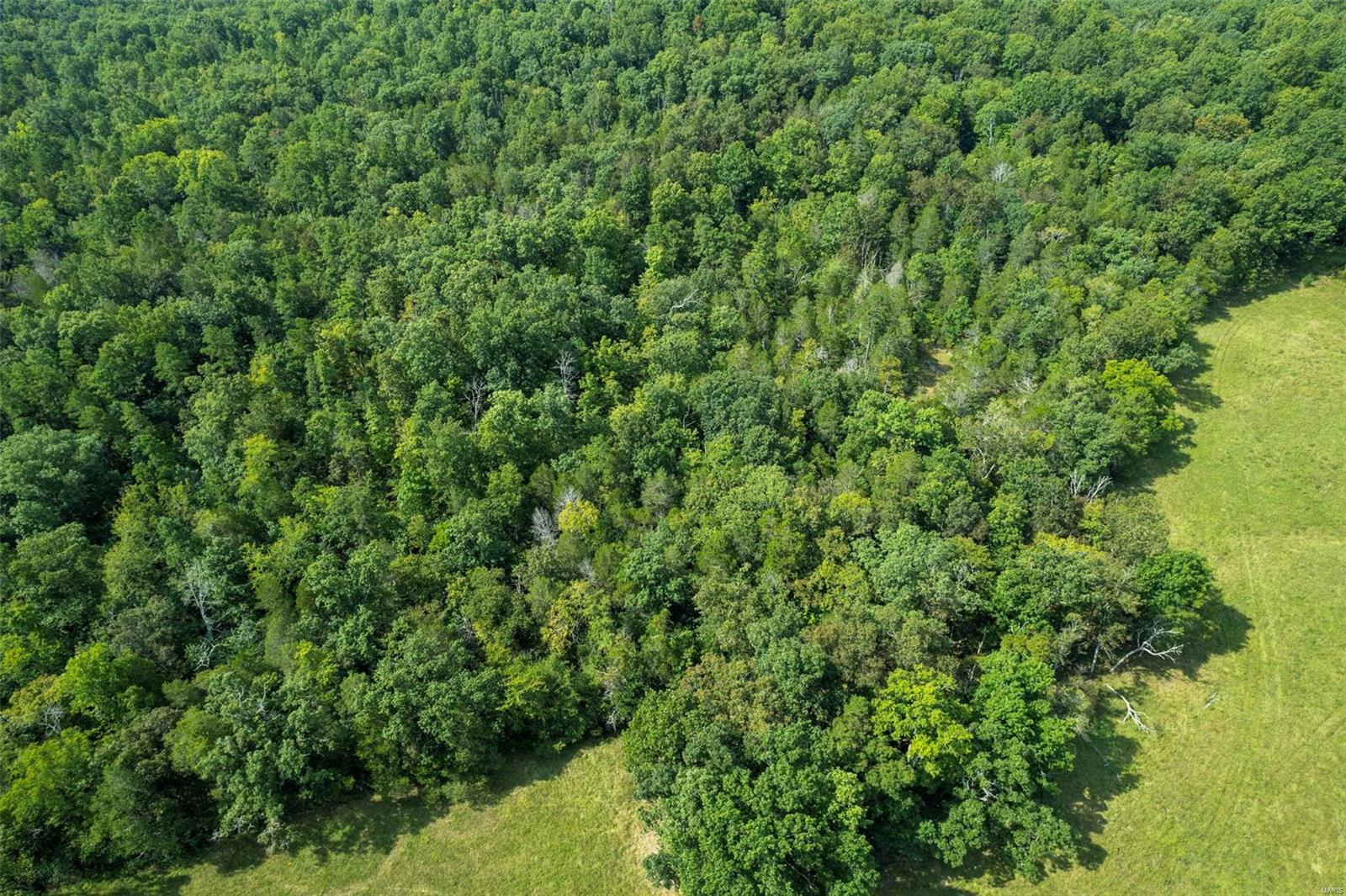 9965 Highway O Property Photo 10
