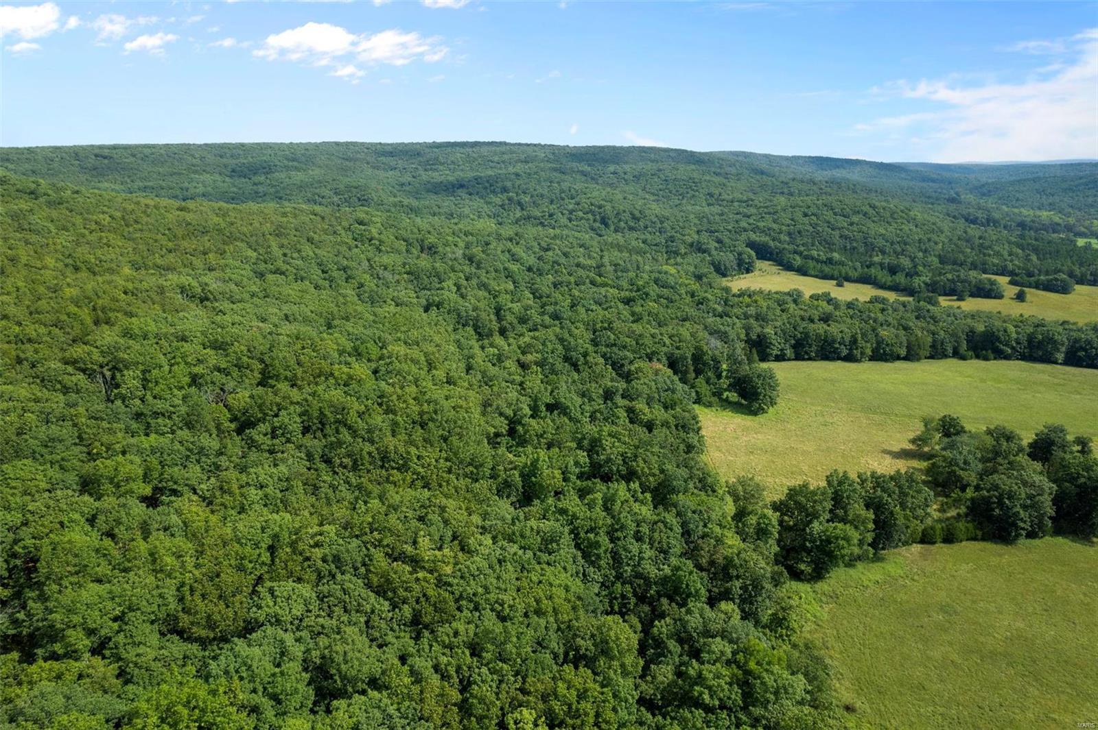 9965 Highway O Property Photo 13