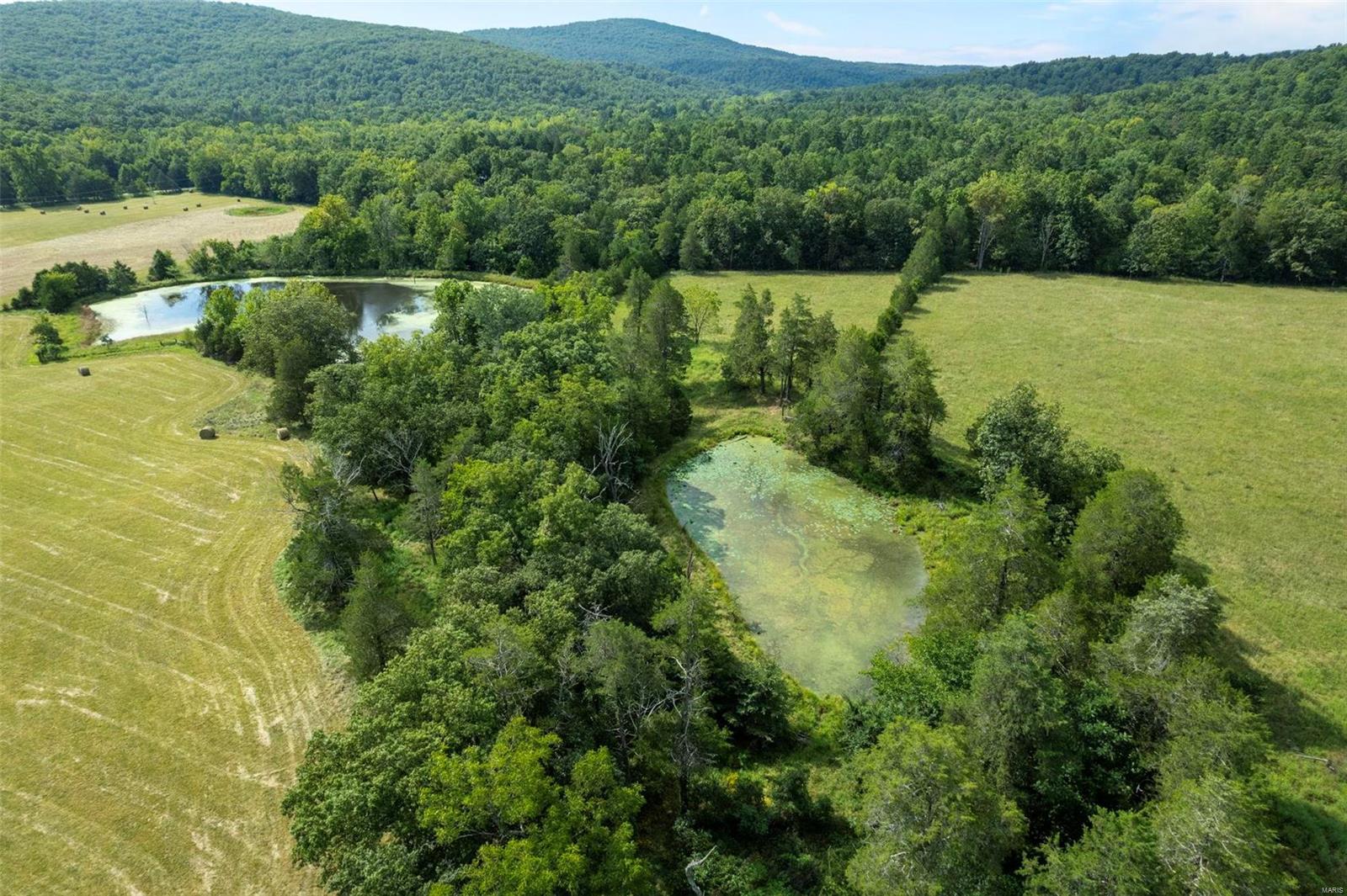 9965 Highway O Property Photo 17