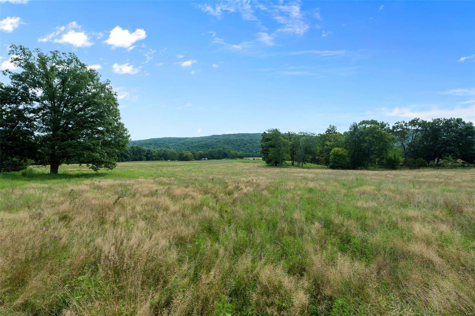 9965 Highway O Property Photo 38