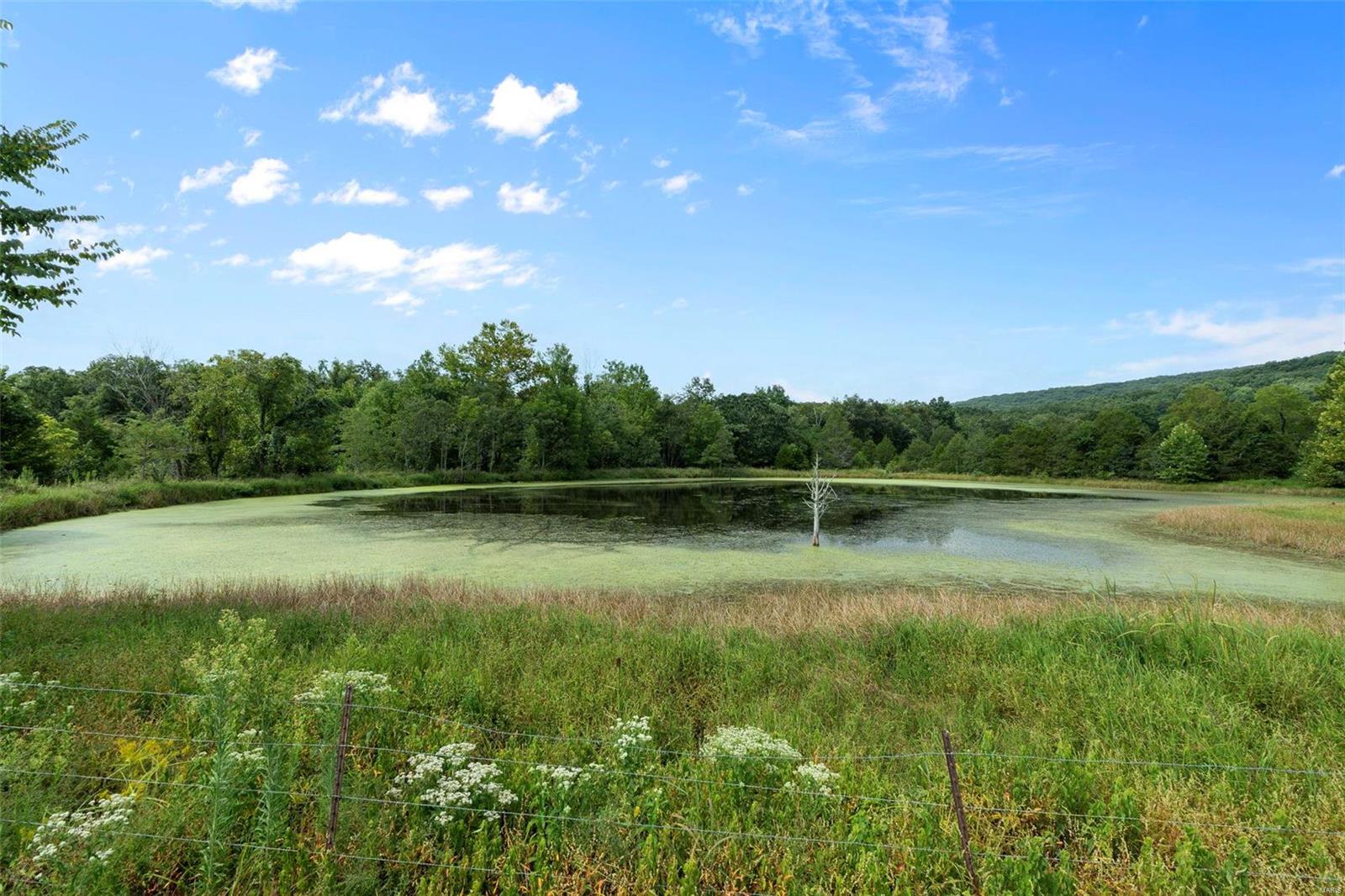 9965 Highway O Property Photo 39