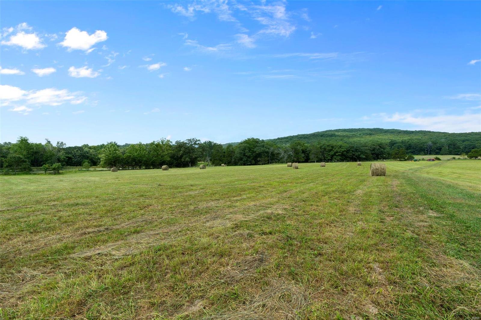 9965 Highway O Property Photo 42