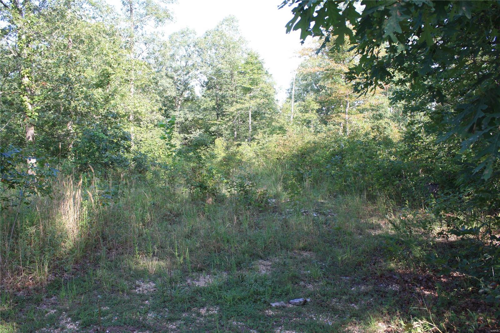 0 County Road 750 Property Photo 2
