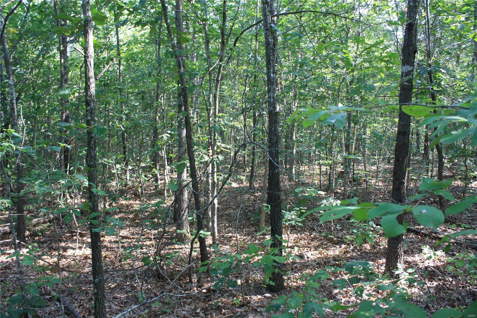 0 County Road 750 Property Photo 4