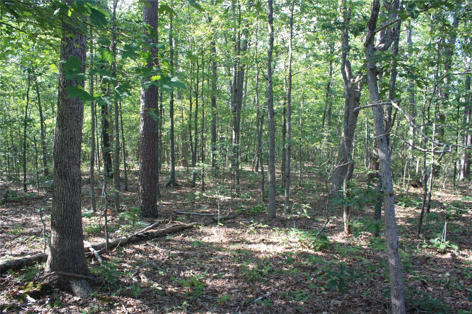 0 County Road 750 Property Photo 5