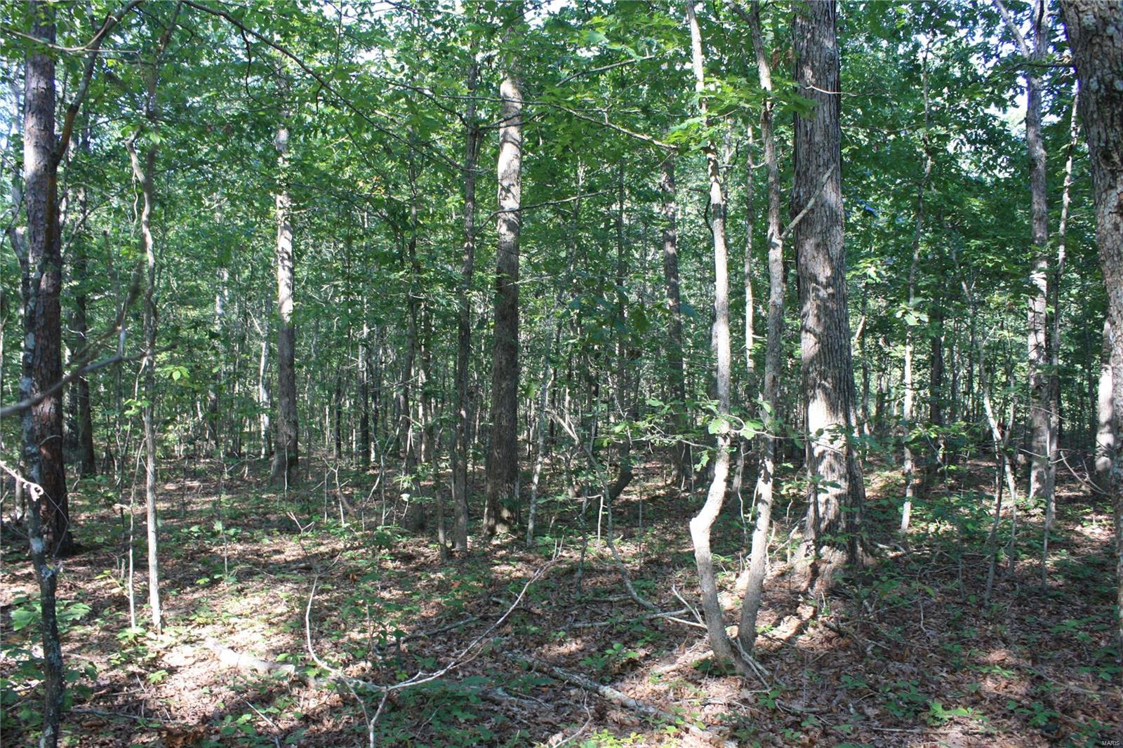 0 County Road 750 Property Photo 6