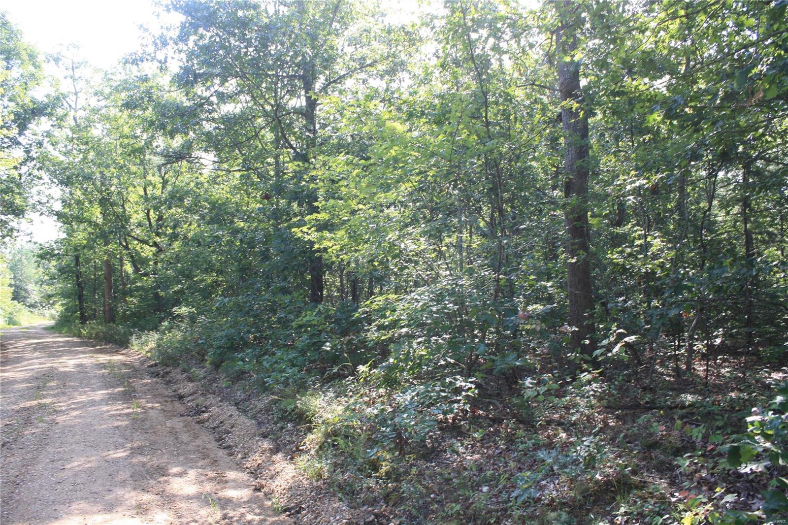 0 County Road 750 Property Photo 7