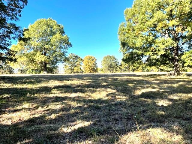 22710 Highway Mm Property Photo 47