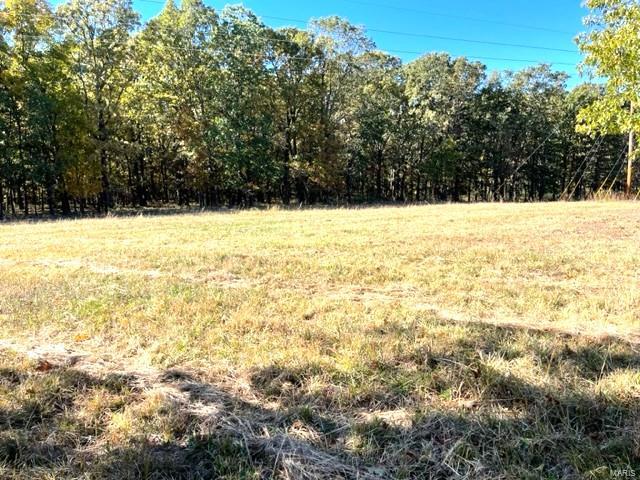 22710 Highway Mm Property Photo 49