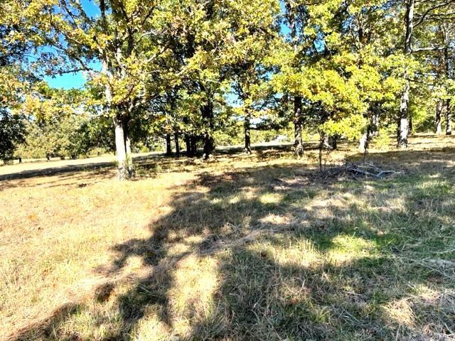22710 Highway Mm Property Photo 50