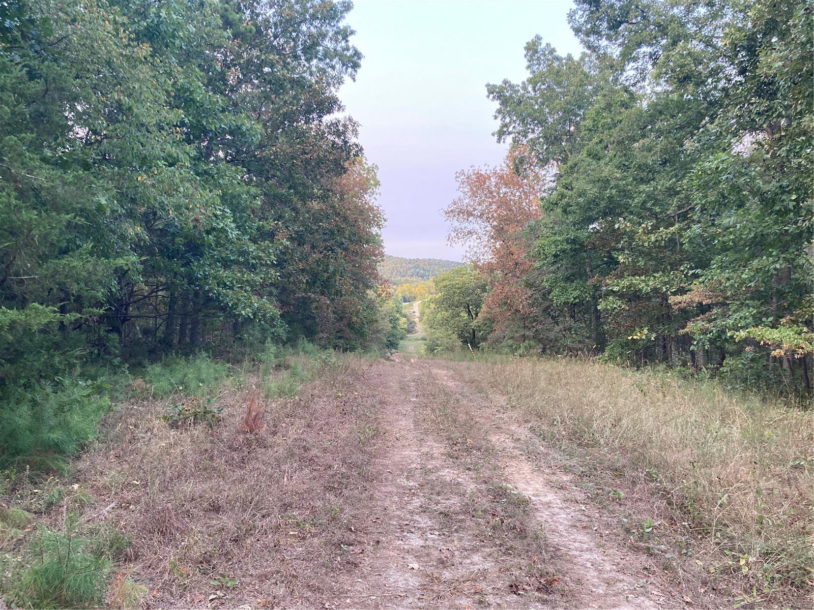 11834 Highway 67 Property Photo