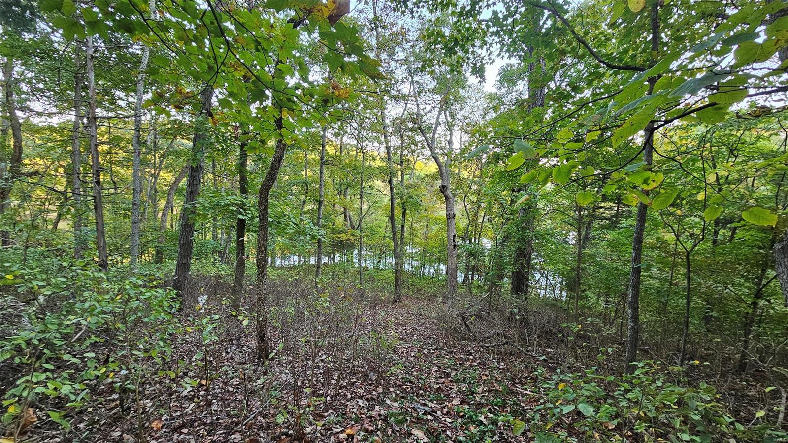 950 Long Bow Drive Property Photo 11
