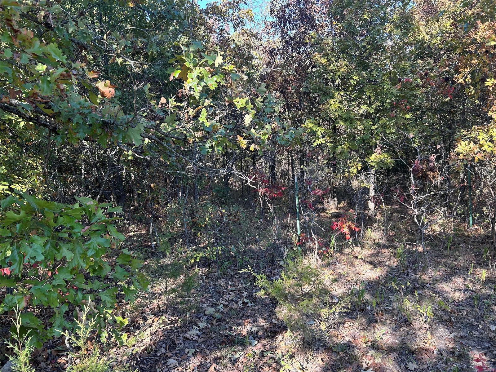0 West Branch Road Property Photo