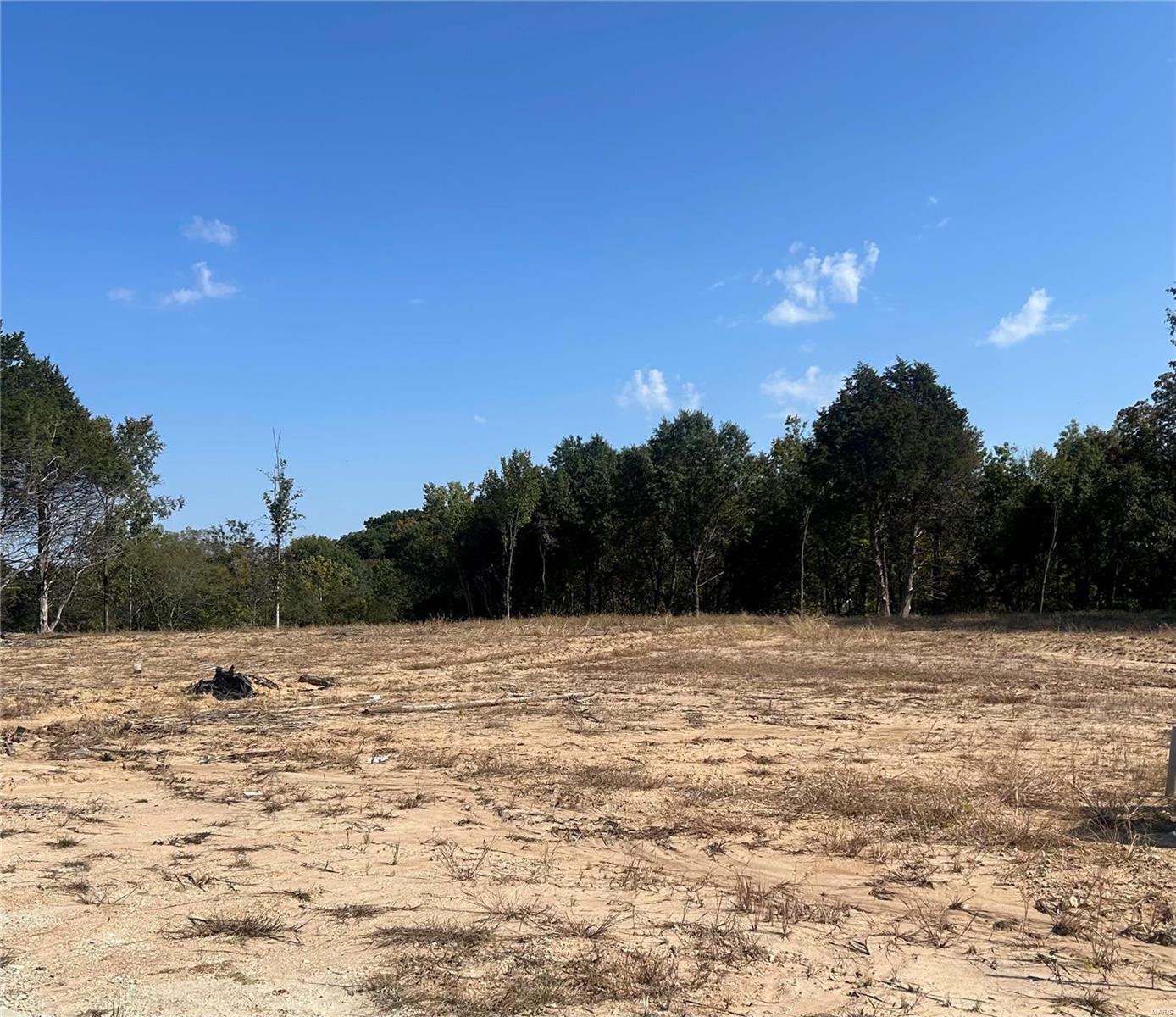 0 Lot #4 Schaper Farms Court Property Photo