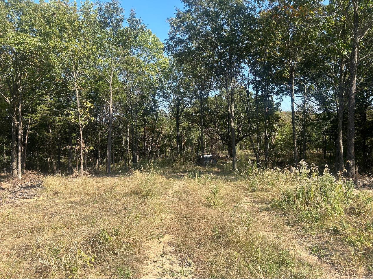 0 Lot #31 Fawn Hollow Court Property Photo