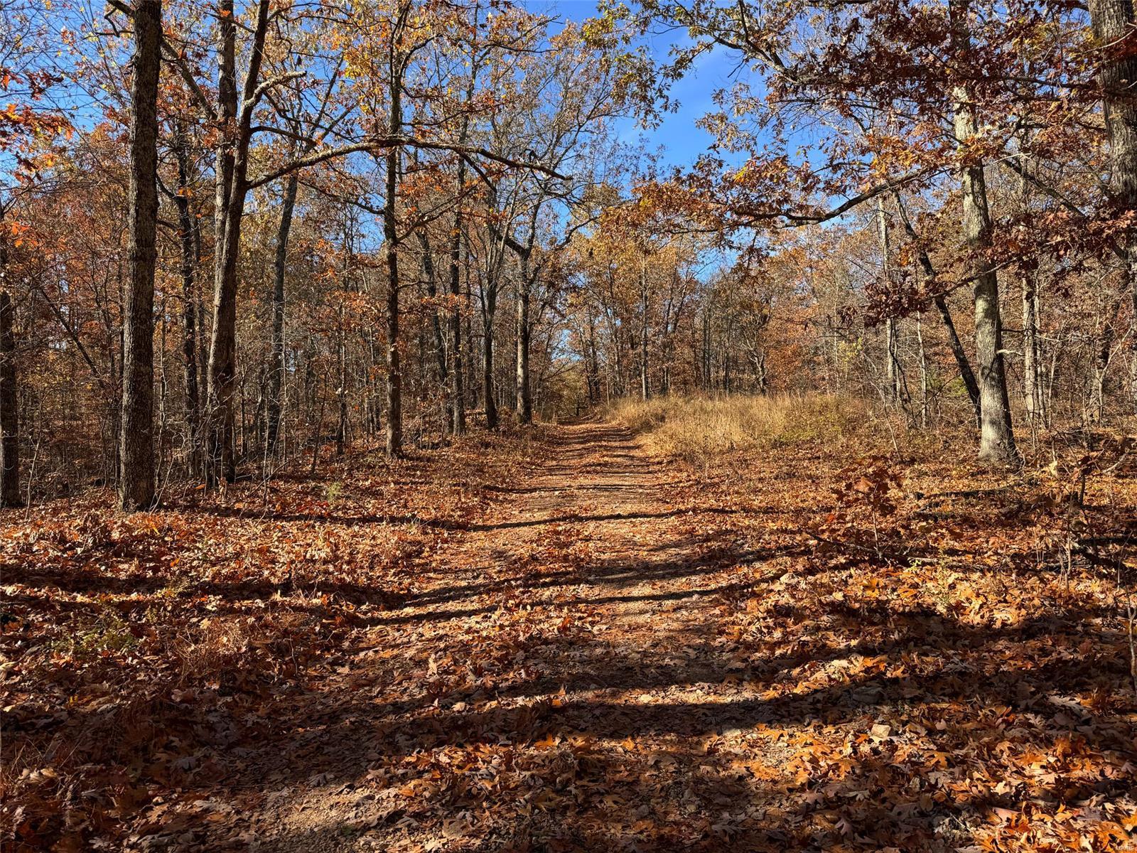 0 Highway K Property Photo 36