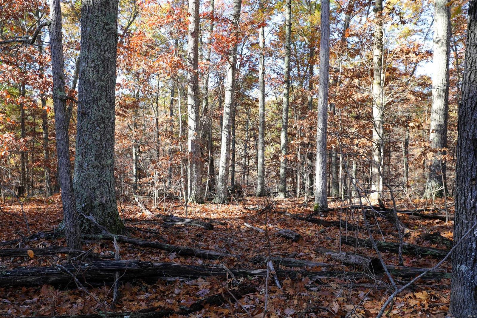 0 Highway K Property Photo 38