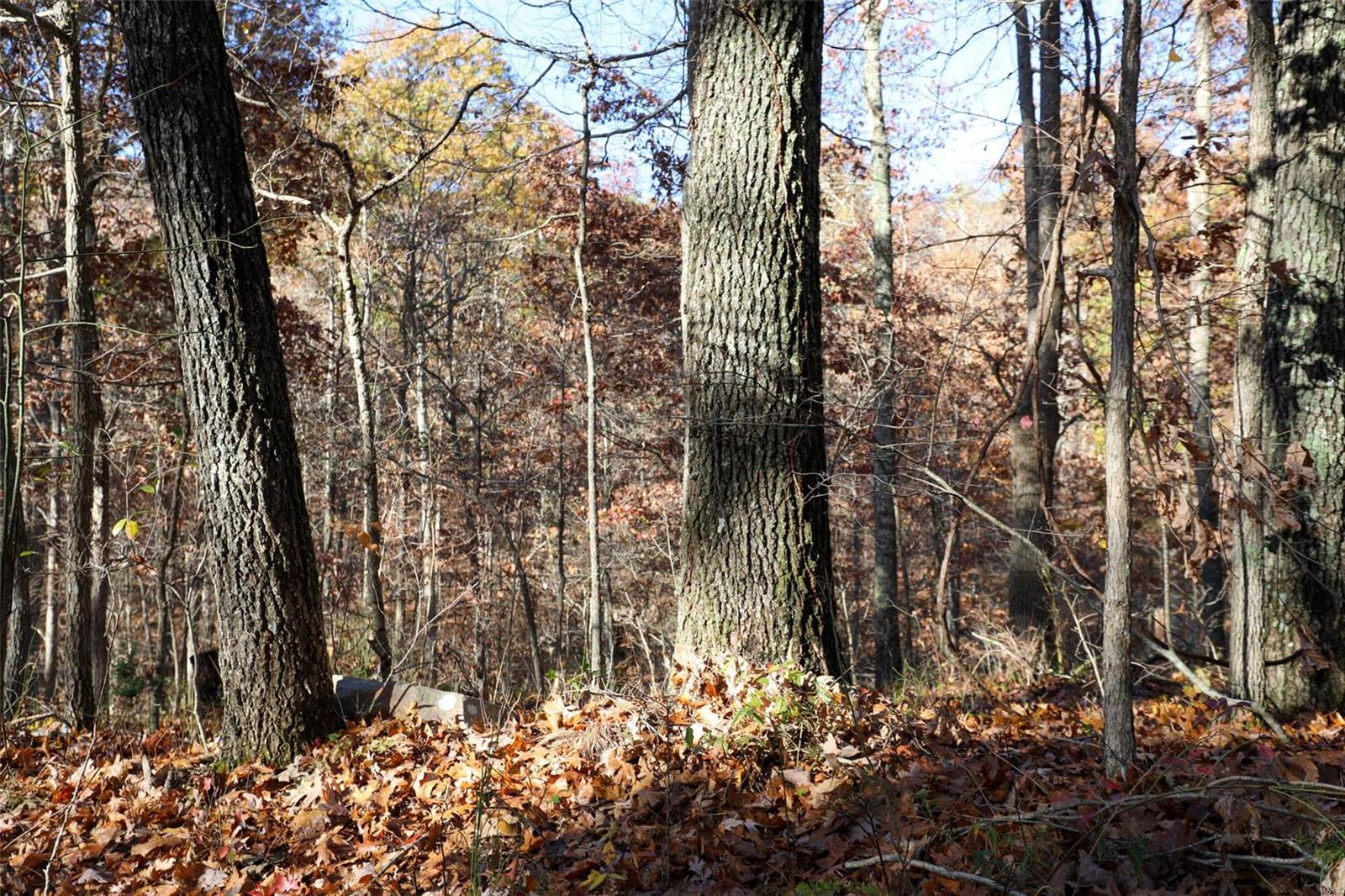 0 Highway K Property Photo 39