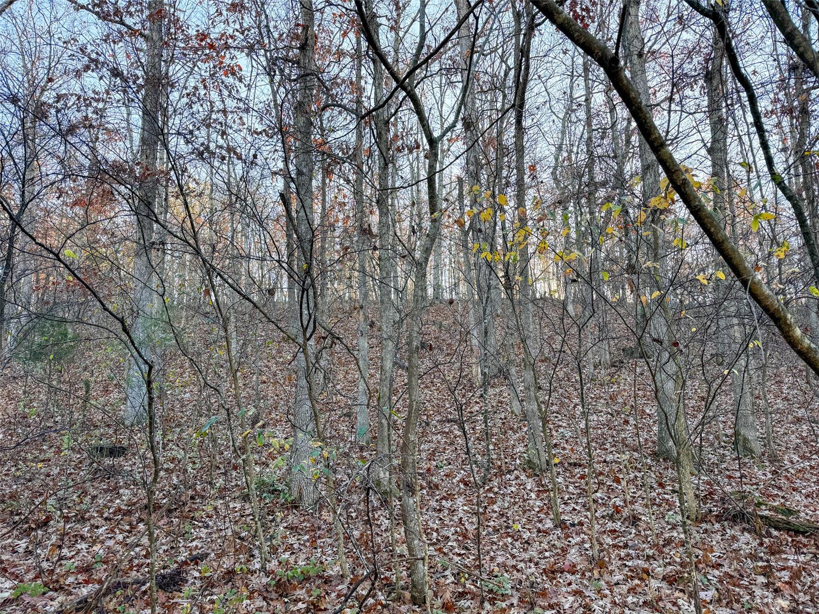 0 Highway K Property Photo 43