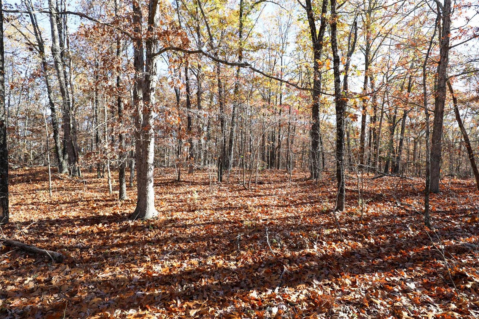0 Highway K Property Photo 48