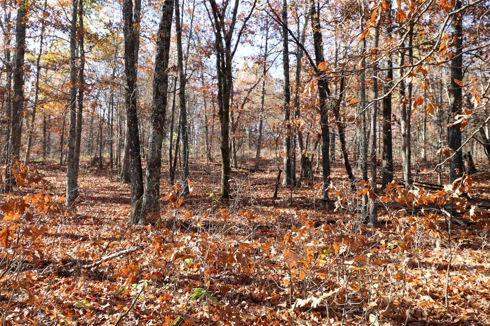 0 Highway K Property Photo 49