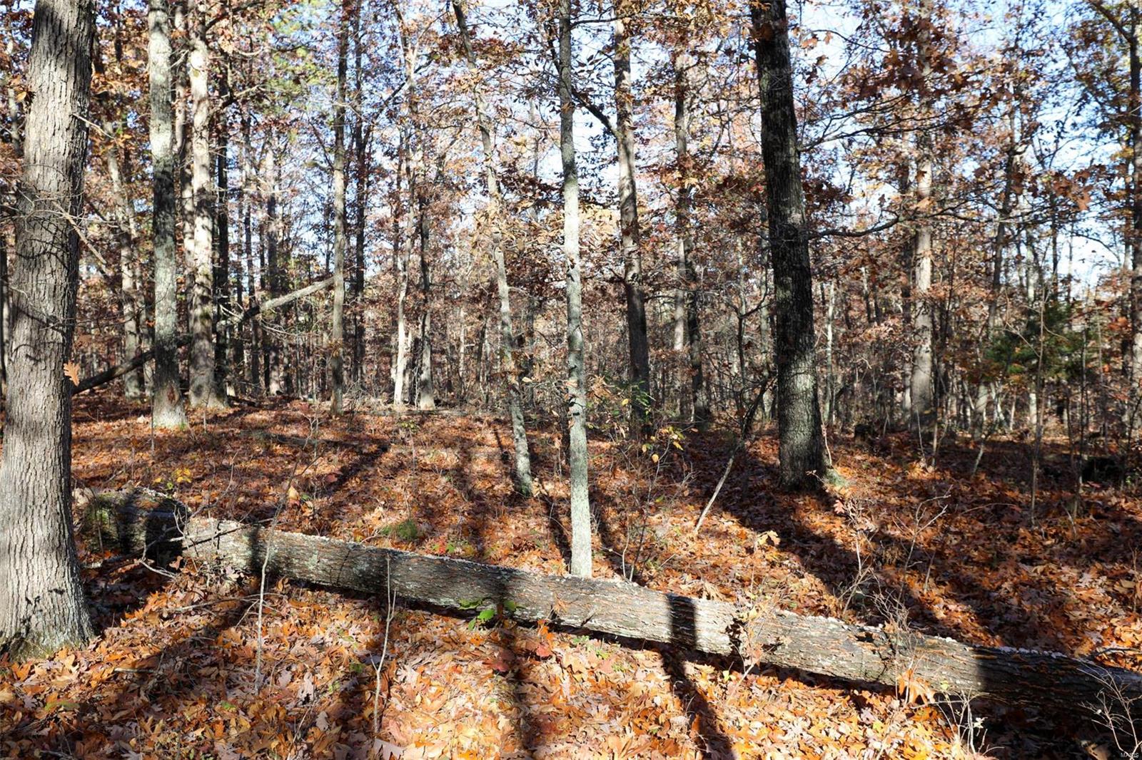 0 Highway K Property Photo 50