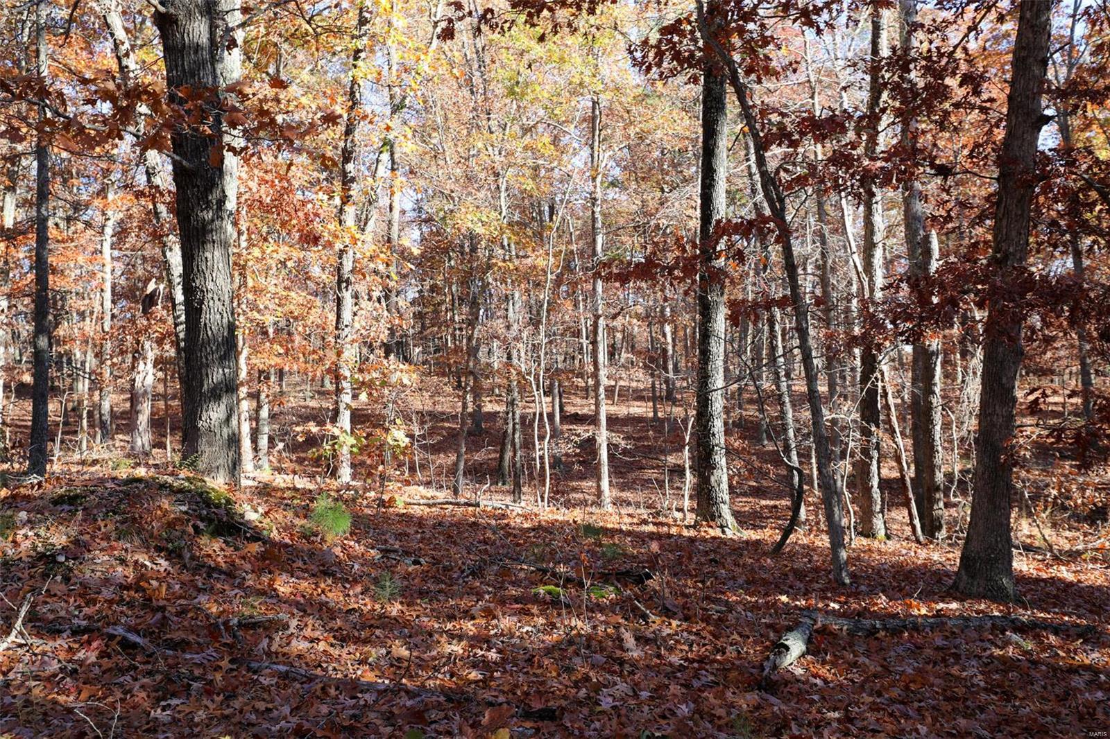 0 Highway K Property Photo 51