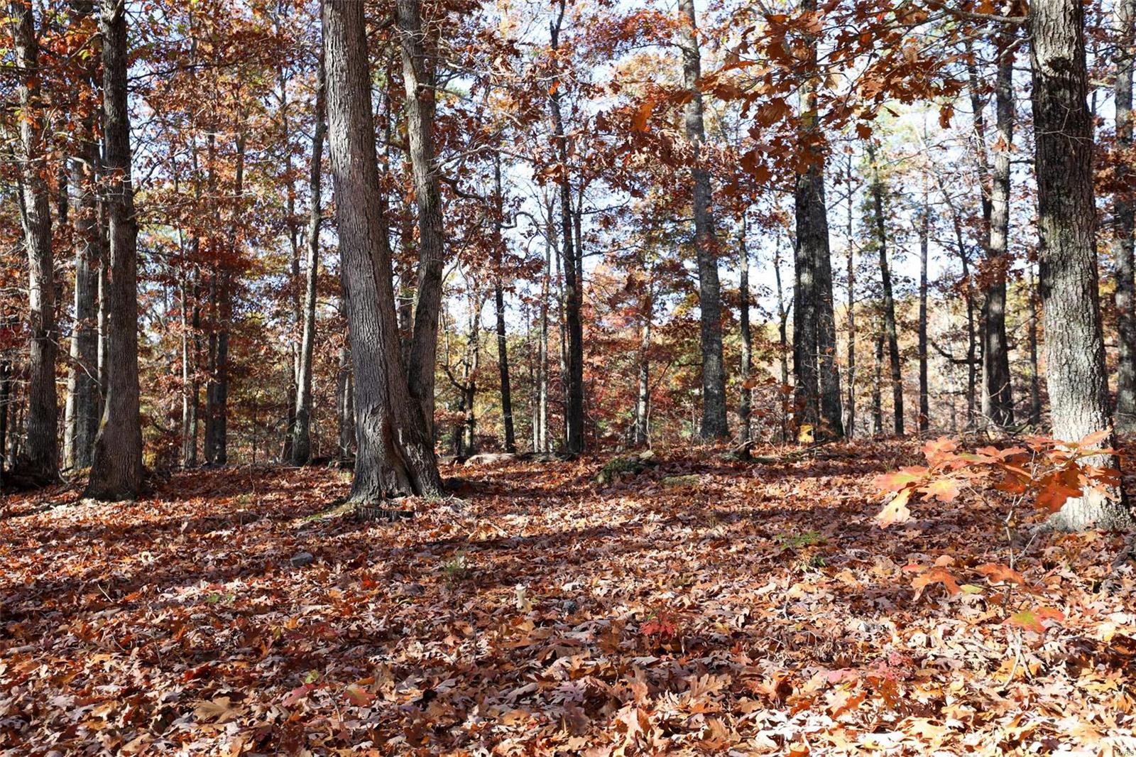 0 Highway K Property Photo 52