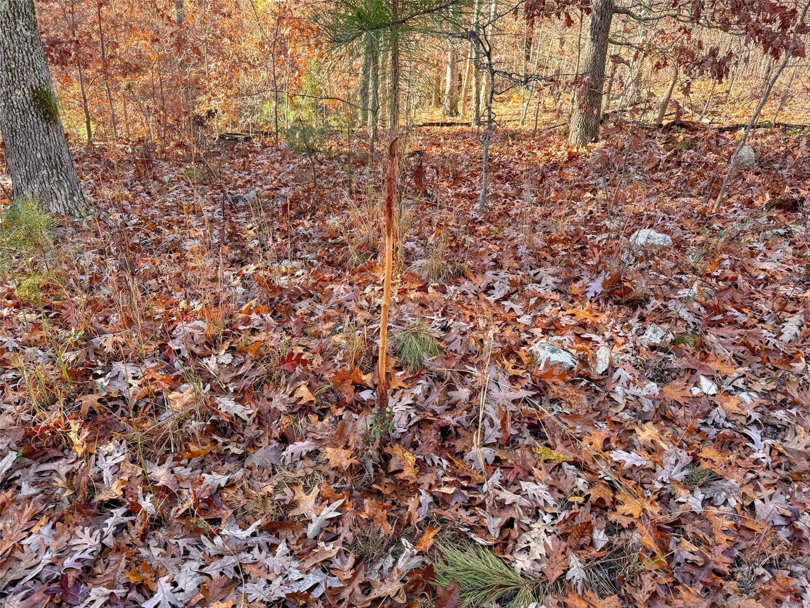 0 Highway K Property Photo 58
