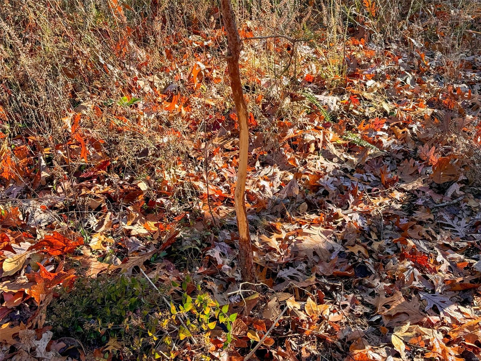 0 Highway K Property Photo 60
