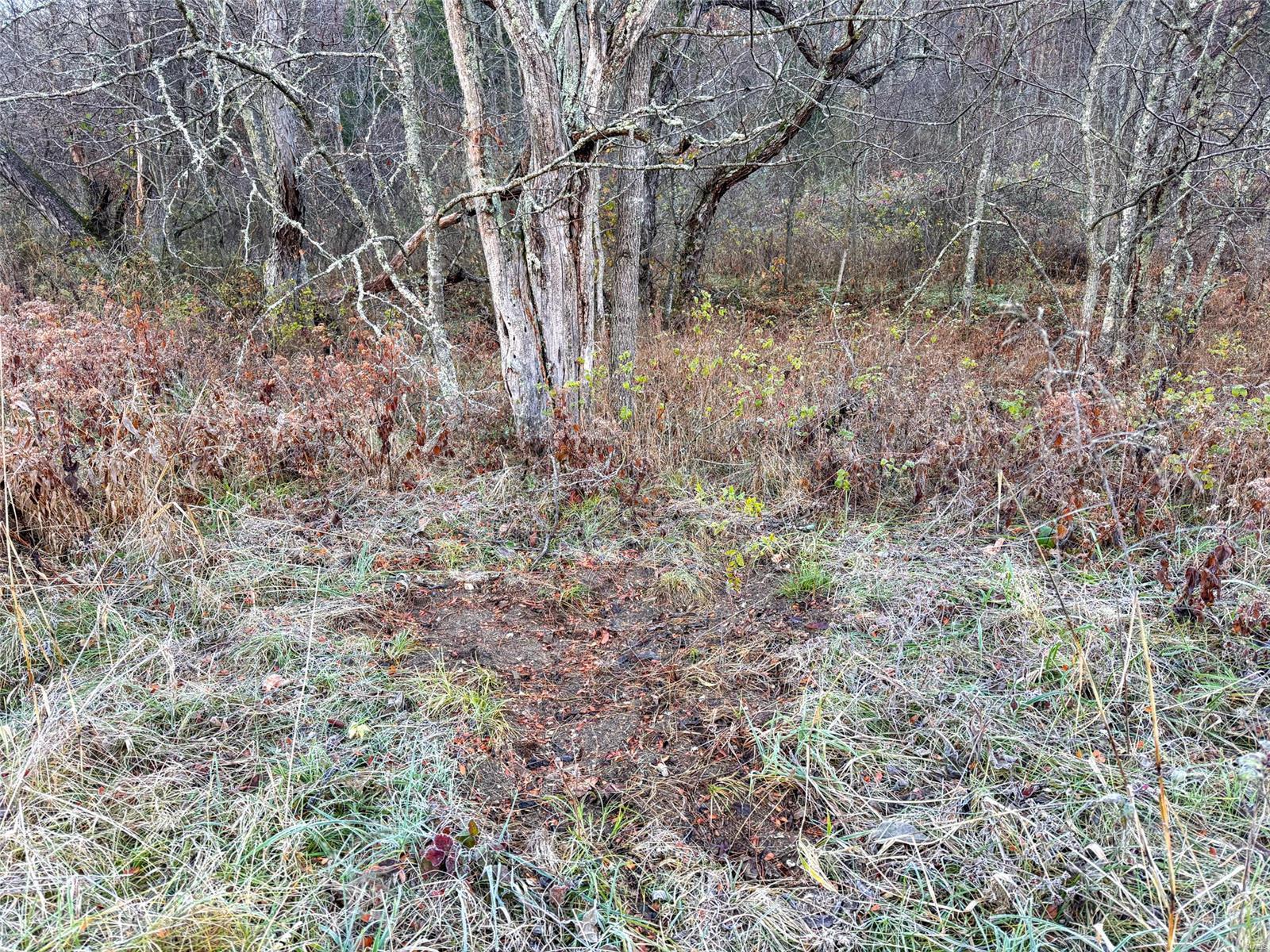 0 Highway K Property Photo 61