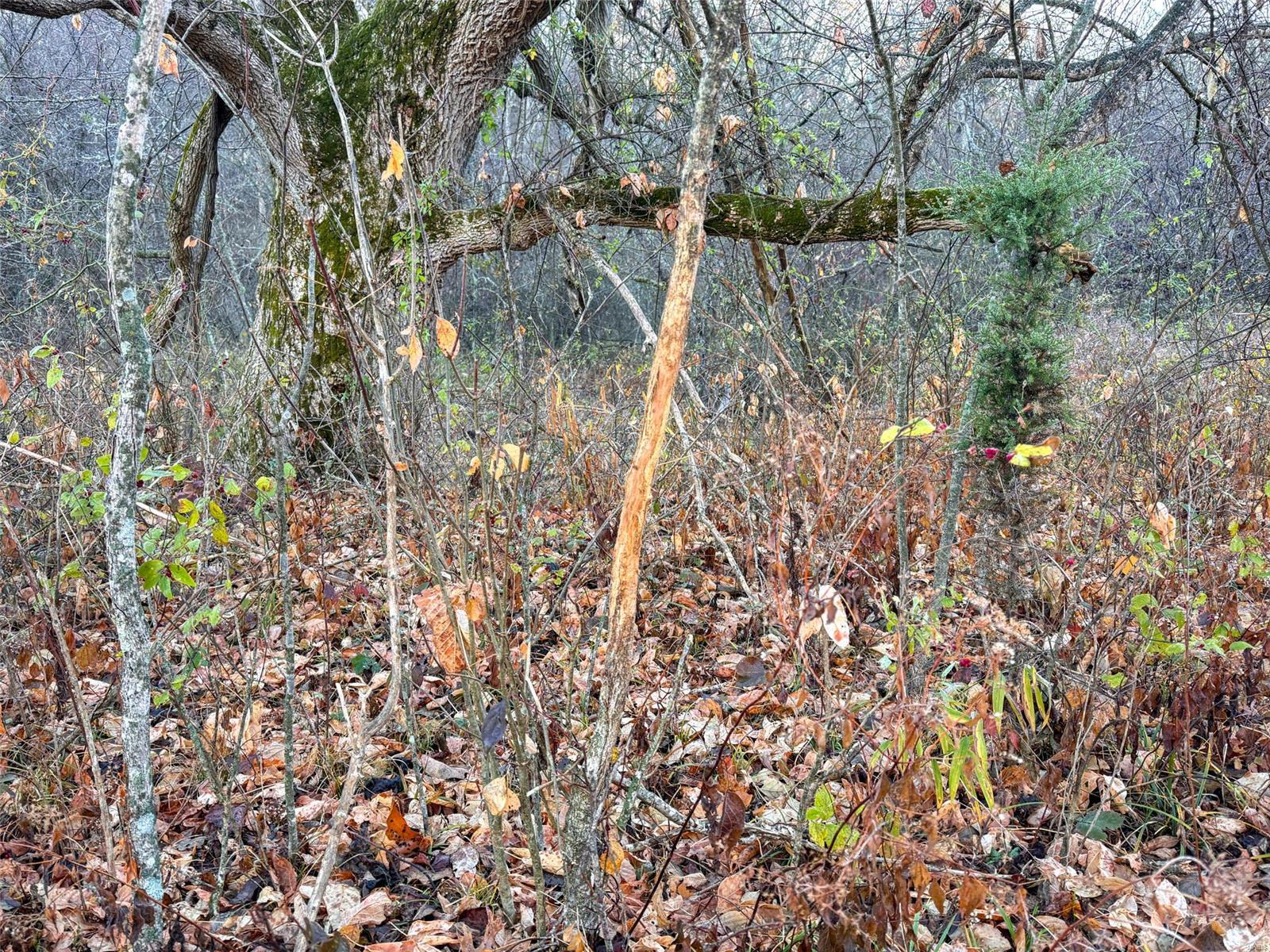 0 Highway K Property Photo 62