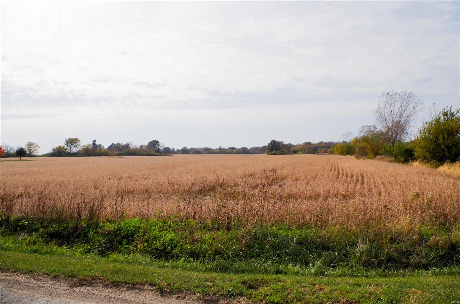 312 Pike County Road Property Photo 2