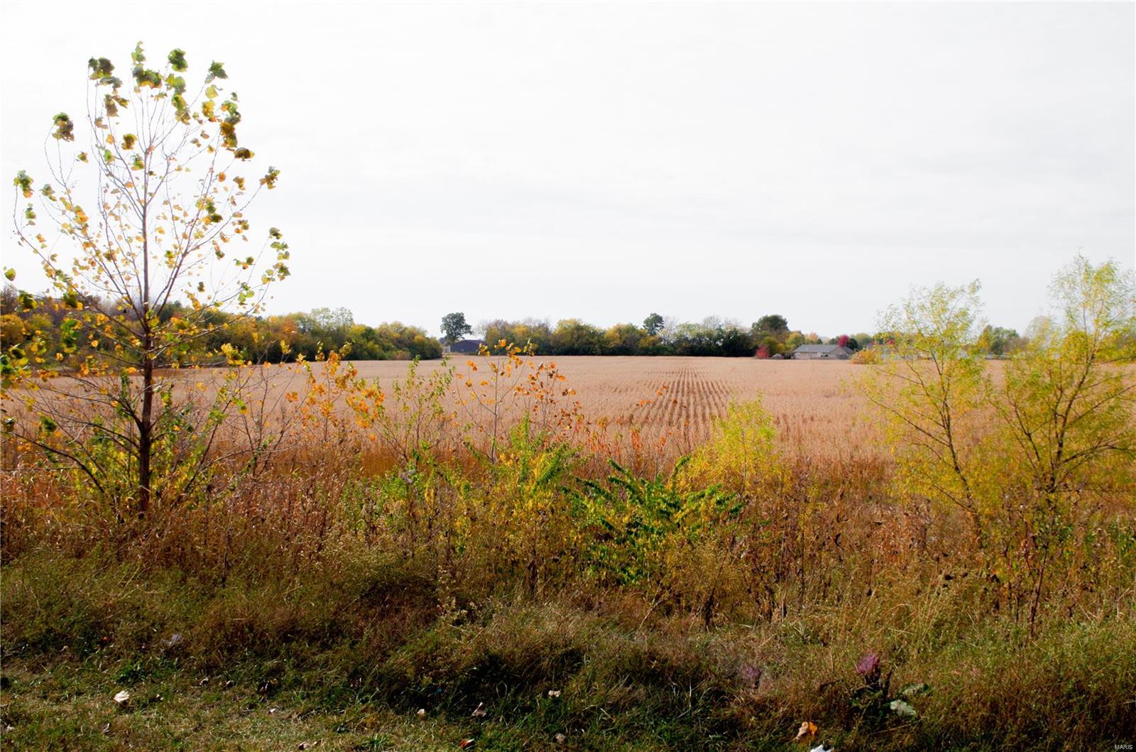 312 Pike County Road Property Photo 4