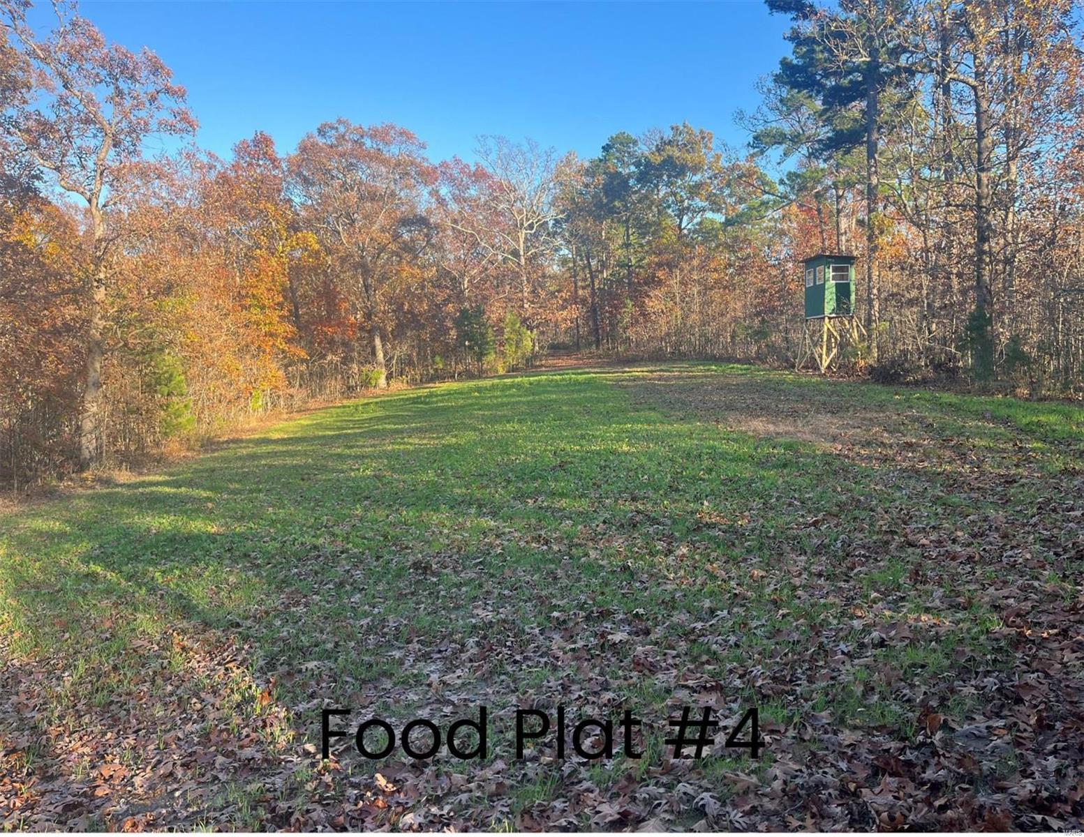 0 (320+/- Acres) Lodge Road Property Photo 1