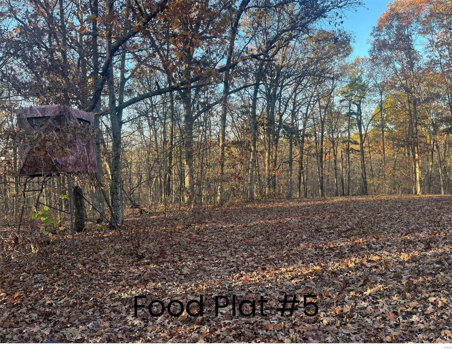 0 (320+/- Acres) Lodge Road Property Photo 2