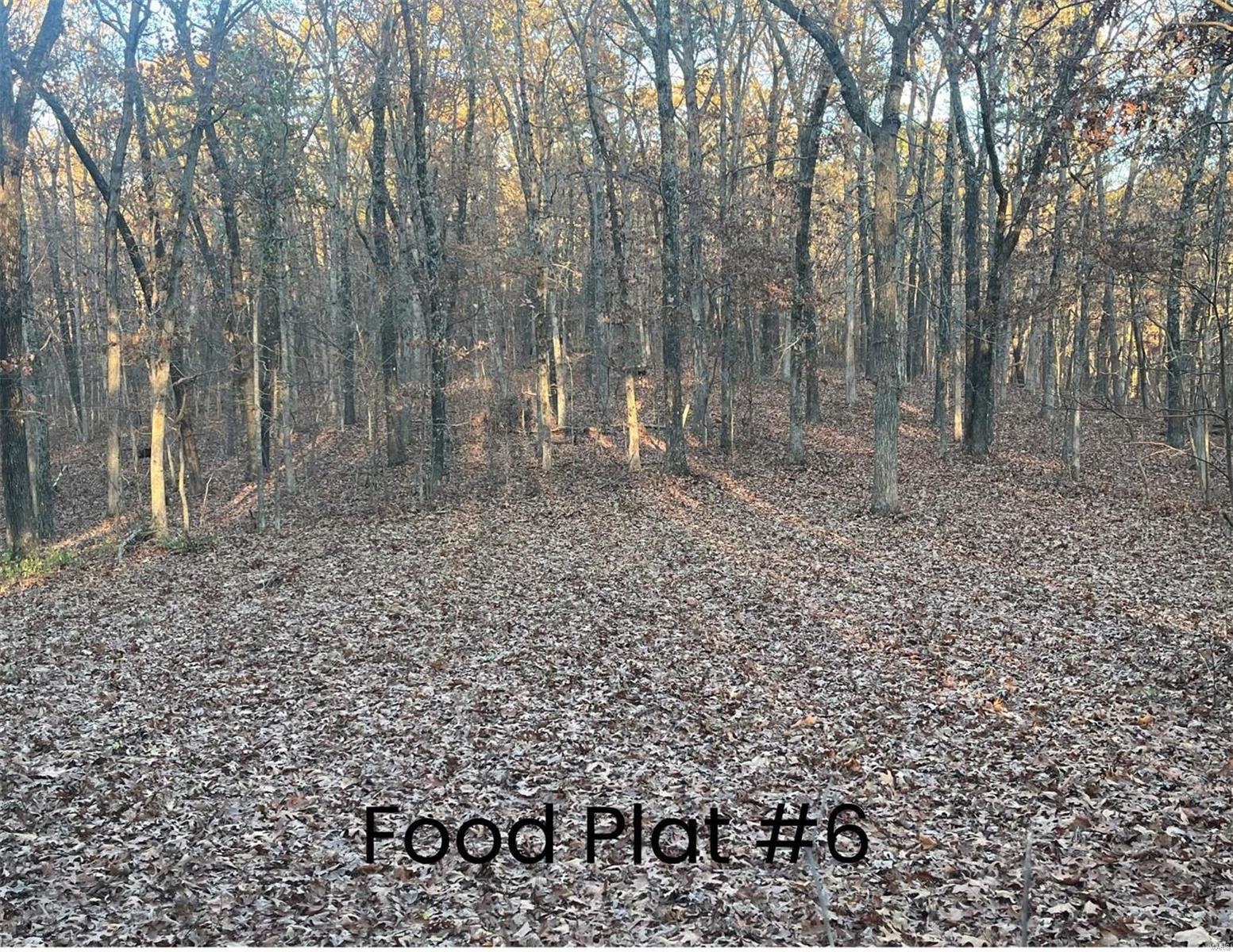 0 (320+/- Acres) Lodge Road Property Photo 3