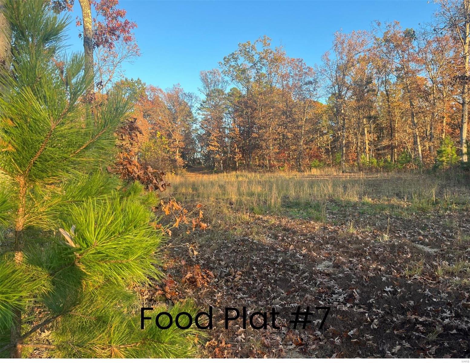 0 (320+/- Acres) Lodge Road Property Photo 4