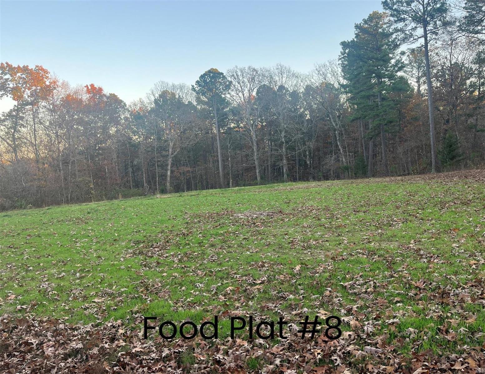 0 (320+/- Acres) Lodge Road Property Photo 5