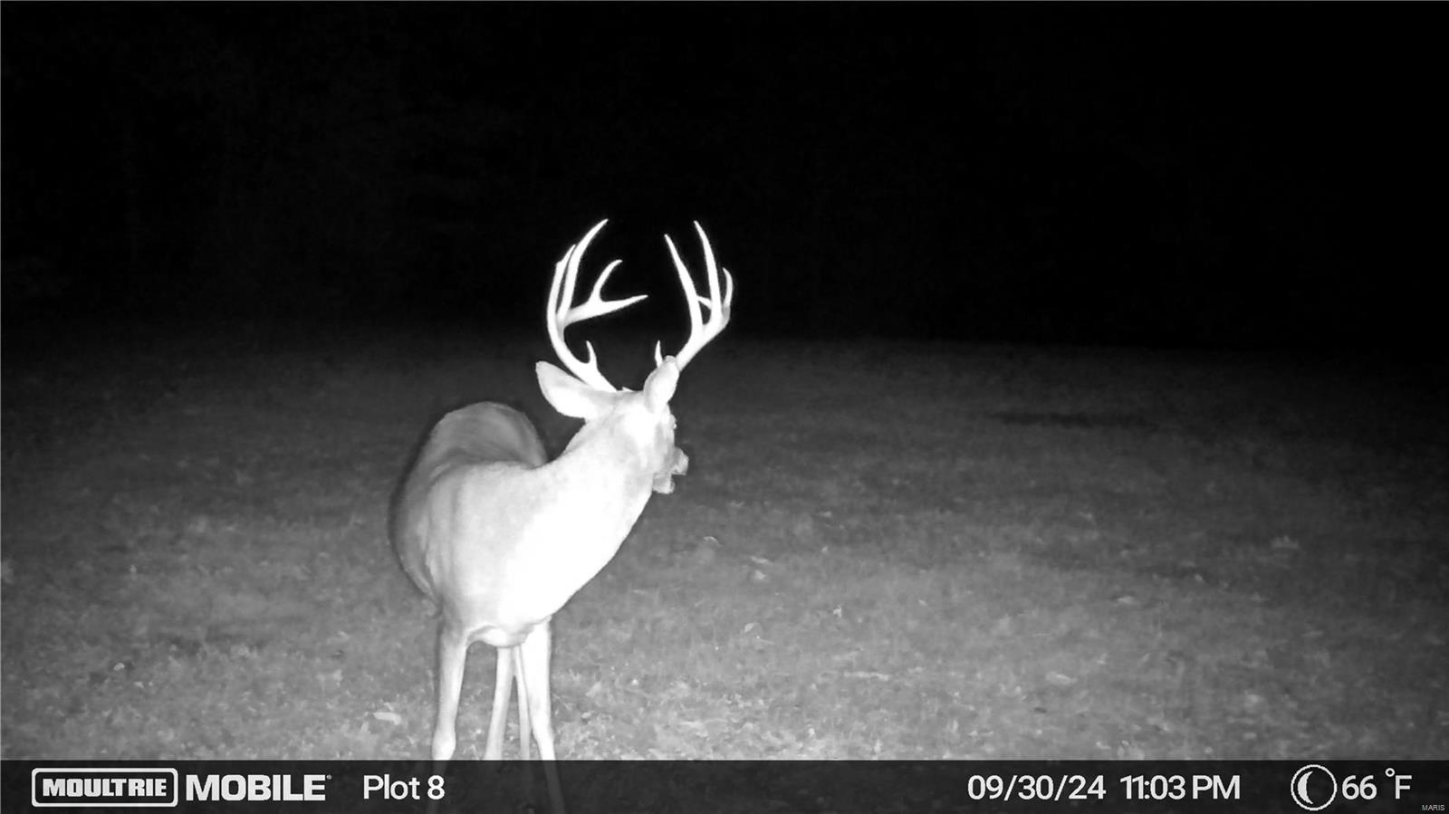 0 (320+/- Acres) Lodge Road Property Photo 18