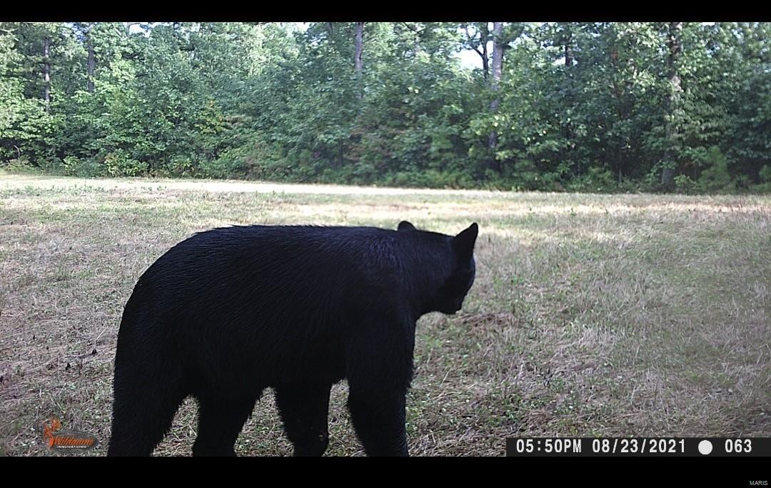0 (320+/- Acres) Lodge Road Property Photo 25