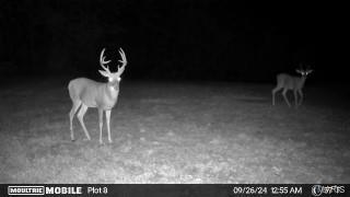 0 (320+/- Acres) Lodge Road Property Photo 27